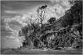 Mersea Cliffs by Peter Cox